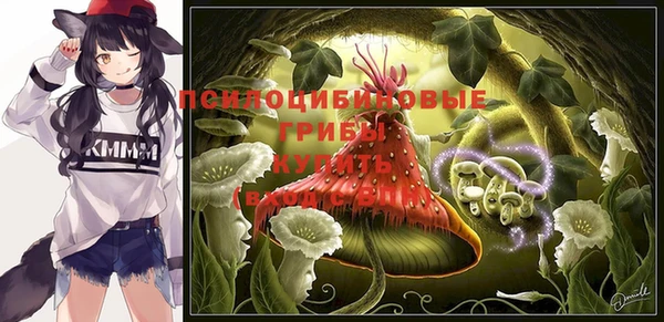 кокс Абаза